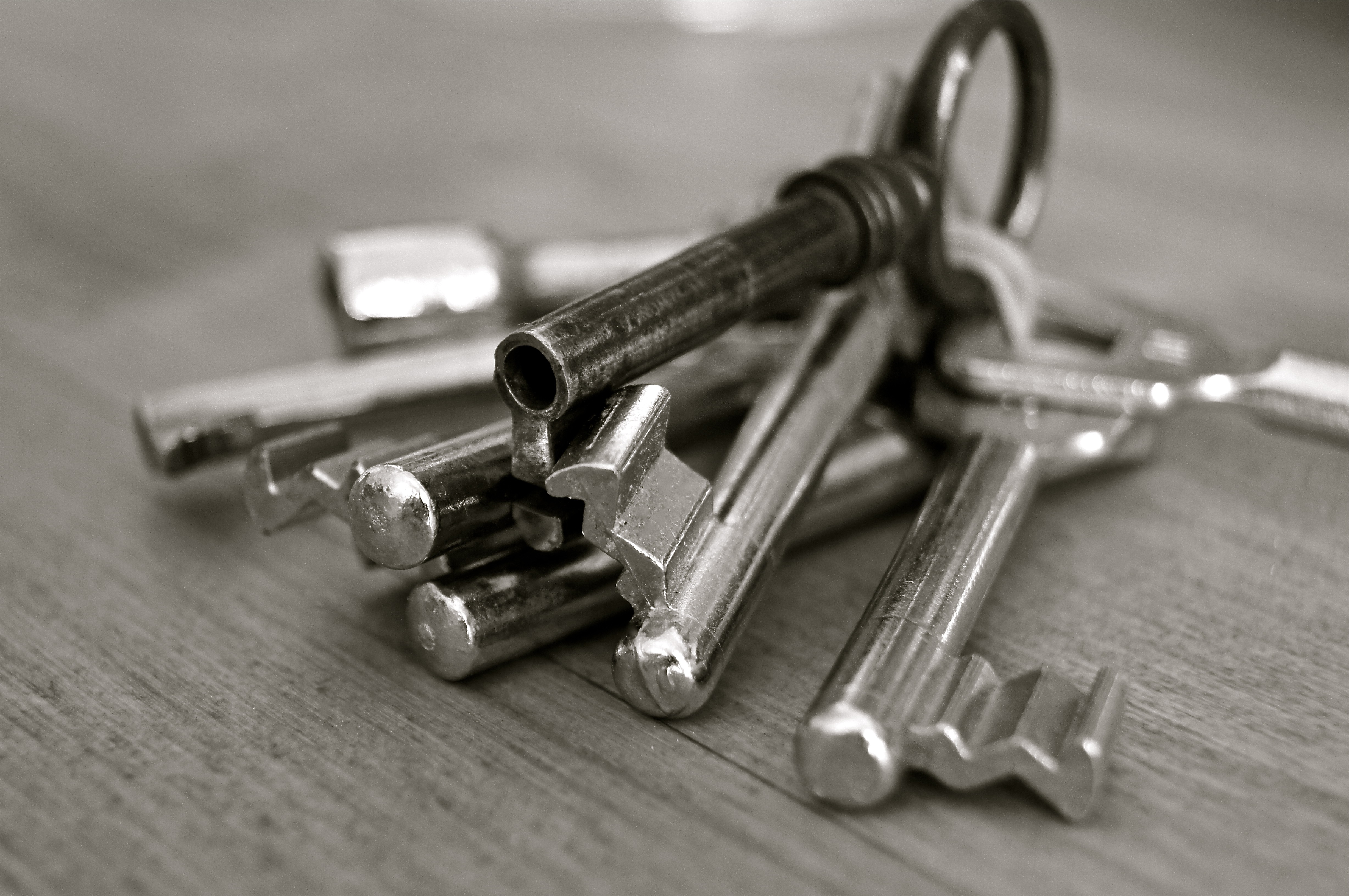 Tangled Keys: A Tale of Self Discovery